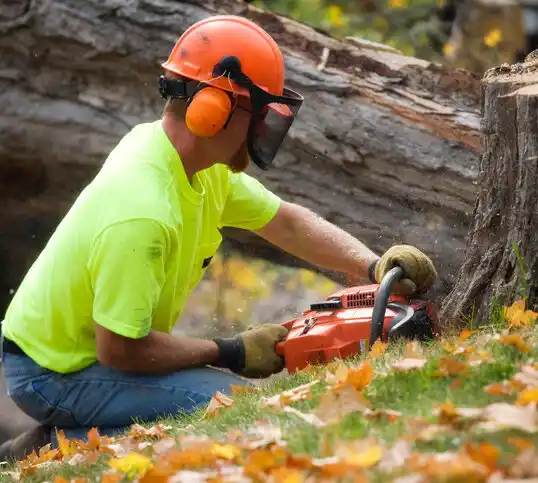 tree services Durhamville